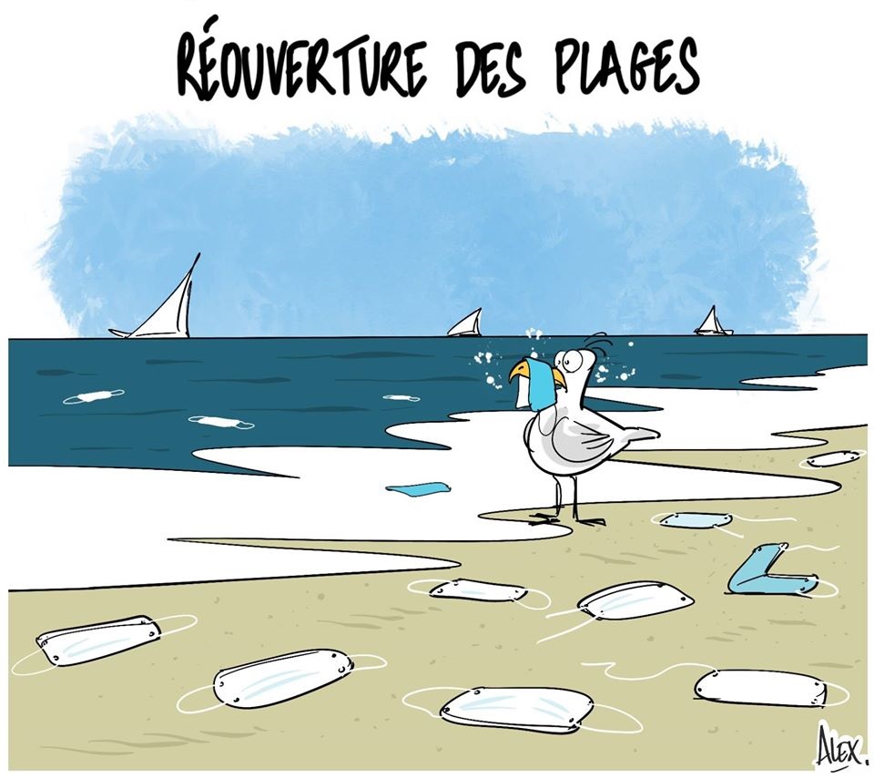 © Alex Dessinateur