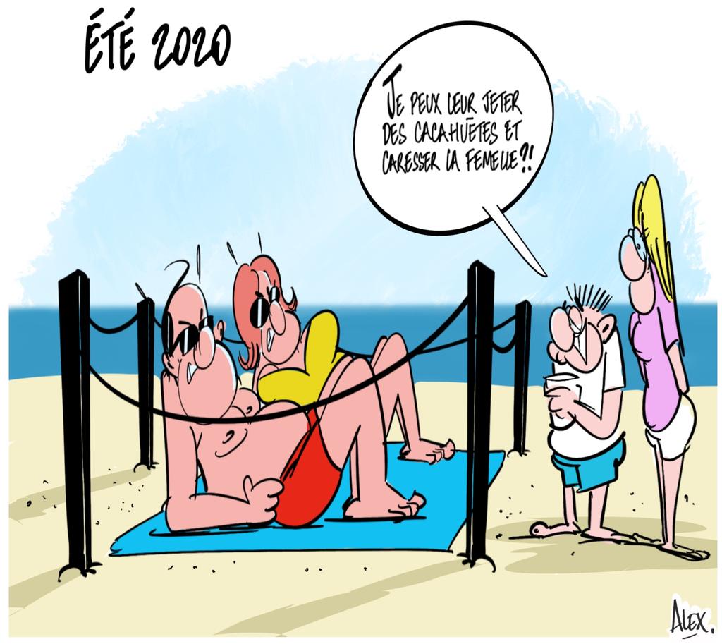 © Alex Dessinateur