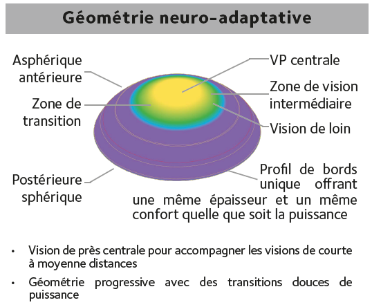 geometrie_neuro_adaptative.png