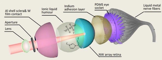 Structure de l'oeil électrochimique (EC-Eye) développé au HKUST