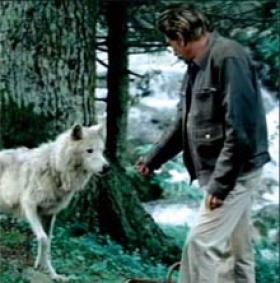 Match Afflelou / Optic 2000 dans Capital