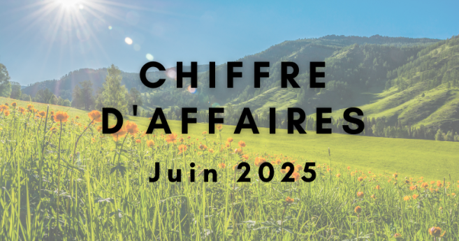 Chiffre d'affaires de juin 2025 : activité en perte de vitesse