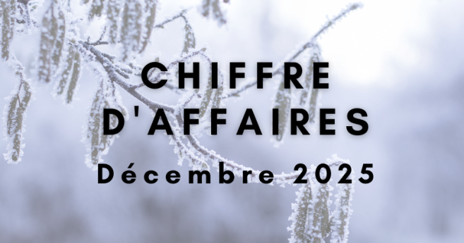 [Sondage] Votre chiffre d’affaires de décembre 2025 par rapport à décembre 2024