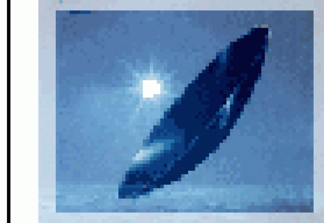 Port prolongé 30 jours pour la Menicon Z