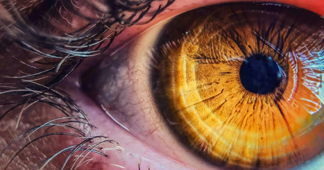 Des chercheurs décèlent les troubles de la vision sans examen de vue grâce aux mouvements de l'oeil