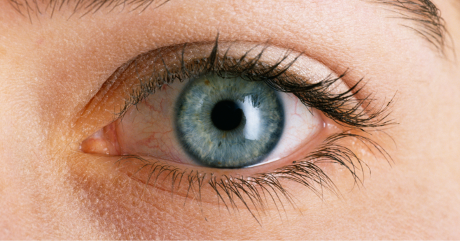 Un nouvel élan pour la recherche ophtalmique chez EssilorLuxottica