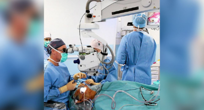 Retina Implant Saint-Jean Montpellier