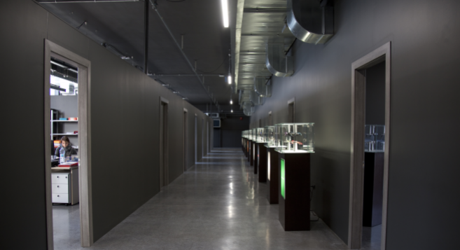 Changement de nom et de logo pour le lunetier Allison