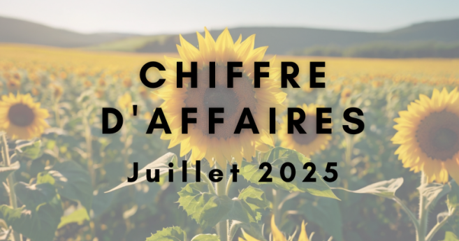 [Sondage] Votre chiffre d’affaires de juillet 2025 par rapport à juillet 2024