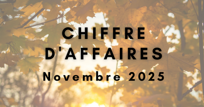 Chiffre d'affaires de novembre 2025 : un recul marqué