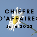 Chiffre d’affaires de juin 2023: le meilleur score depuis le début de l’année