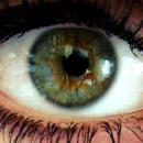 Une intelligence artificielle analyse des traits de personnalité grâce aux mouvements des yeux 