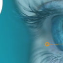 E-ophtalmo: une solution de télémédecine ouverte aux professionnels de la santé visuelle 
