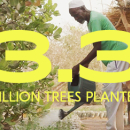 Déjà 3,3 millions d'arbres plantés grâce à Eco Eyewear