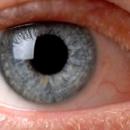 La prise en charge du glaucome par les optométristes bientôt autorisée aux USA