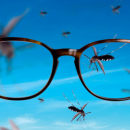 Les lunettes anti-insectes arrivent en France début 2024