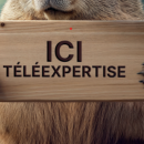 Lyleoo renouvelle son identité visuelle et adopte une nouvelle mascotte