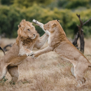 Entre Meta et EssilorLuxottica, un léger flou dans la vision commune