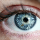 Glaucome: une protéine pour empêcher la mort des cellules nerveuses de la rétine