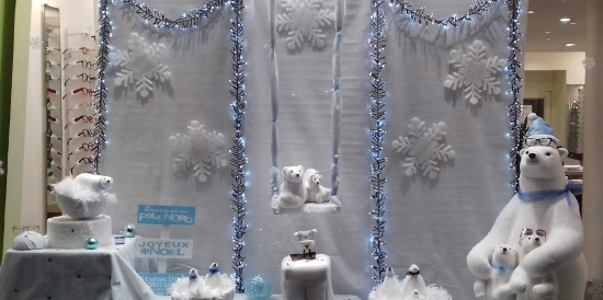 IrisOptic, Antoine Cramet, Douai (59)