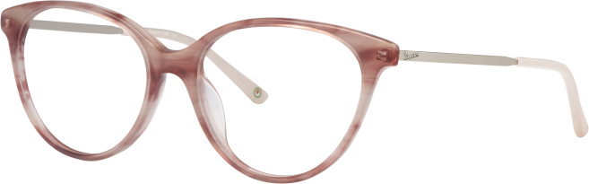 ana hickmann lunette optique