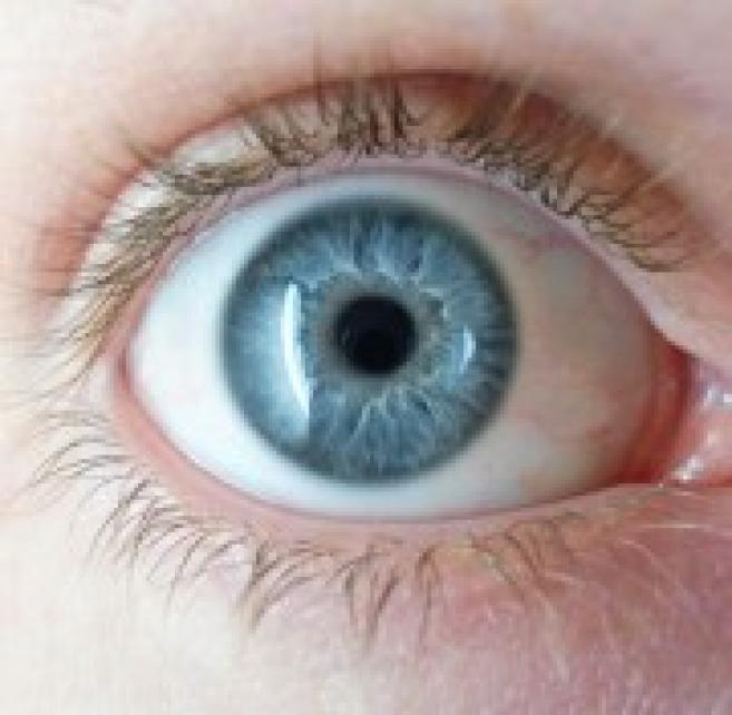 Oeil bleu lunetier sales