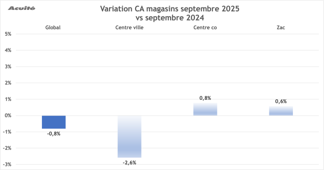 variation_ca_octobre_2025.png