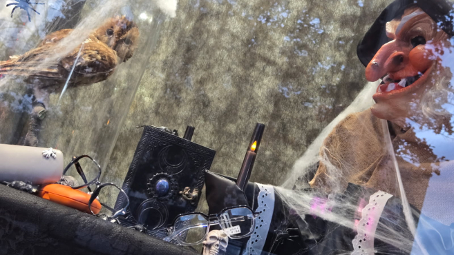 vitrine_outreau_optique_halloween_2025.jpg