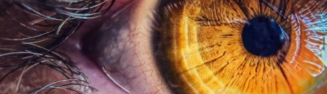 Des chercheurs décèlent les troubles de la vision sans examen de vue grâce aux mouvements de l'oeil