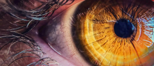 Des chercheurs décèlent les troubles de la vision sans examen de vue grâce aux mouvements de l'oeil