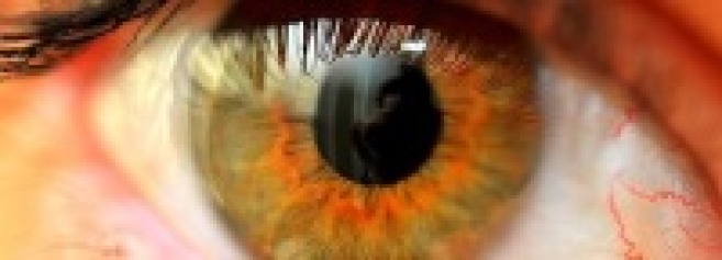 img7625.jpg