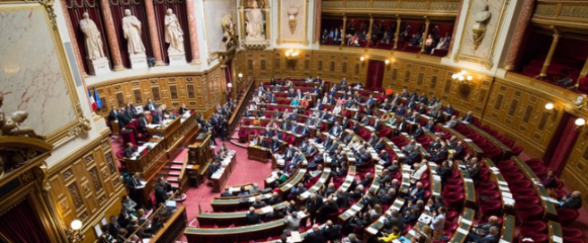 senat-ocam.png