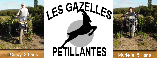 gazelles-2015.jpg