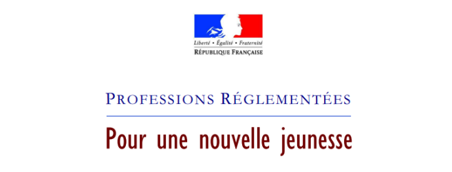 rapport_professions_reglementees-r-ferrand.png