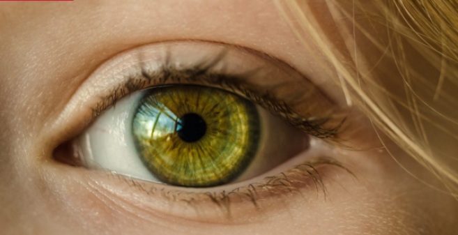 dmla-oeil.png