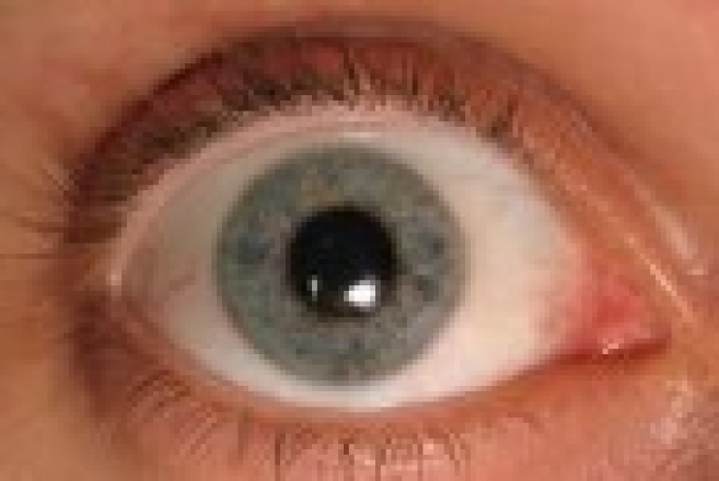 img7401.jpg