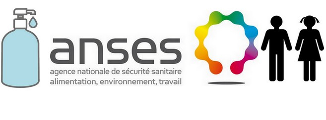 anses_header.jpg