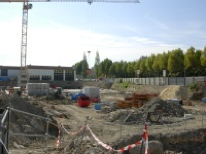 img7164a.jpg