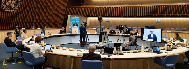 La 74e Assemblée mondiale de la santé, qui s'est déroulée en grande partie en distanciel