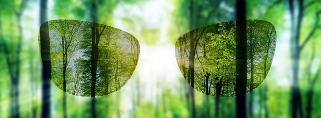Zeiss & Kering Eyewear