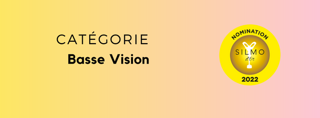 basse_vision_header.png