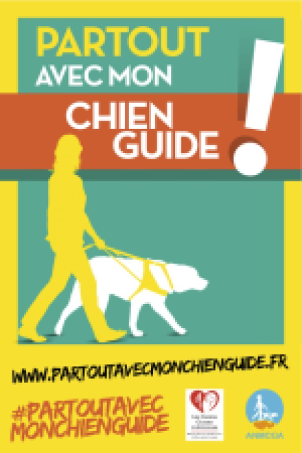 partout_chien_guide_hd_225150.jpg
