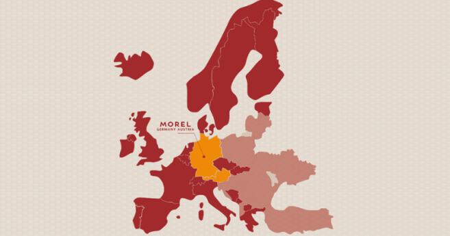 morel_filiale.png