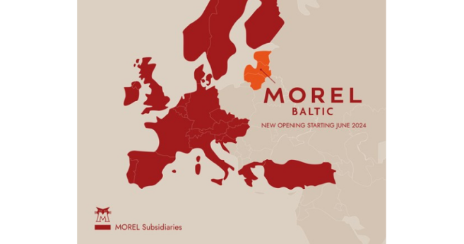 morel_balte_header.png