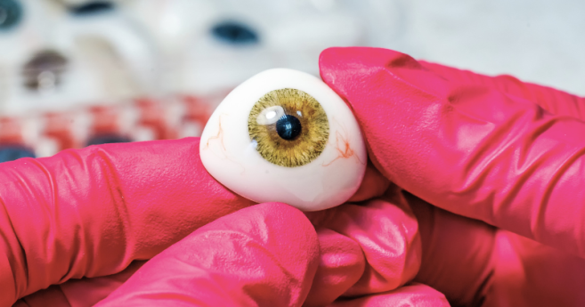 bio_impression_header.png