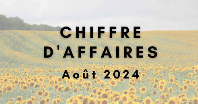 chiffre_daffaires_aout_2024.png