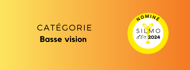 basse_vision.png