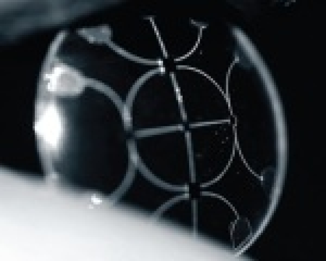 img5658a.jpg