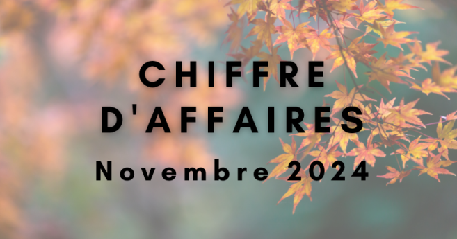 ca_novembre_2024.png