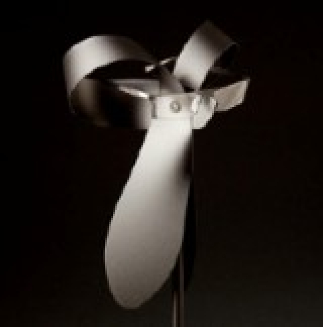 img5621a.jpg